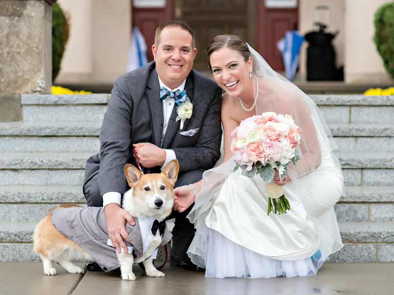  大切な愛犬に♡結婚式にぴったりなドレスアップをする7つのアイデア　で紹介している画像