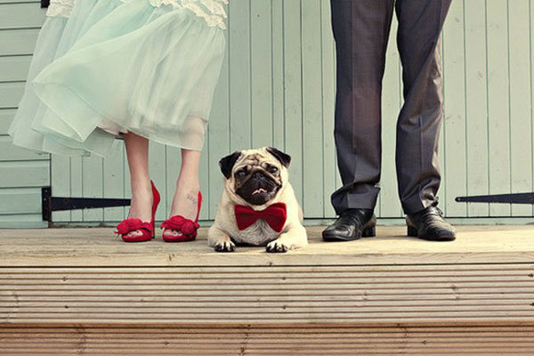  わんちゃんネコちゃんも大切な家族だから♡ペットと一緒に結婚式を！　で紹介している画像