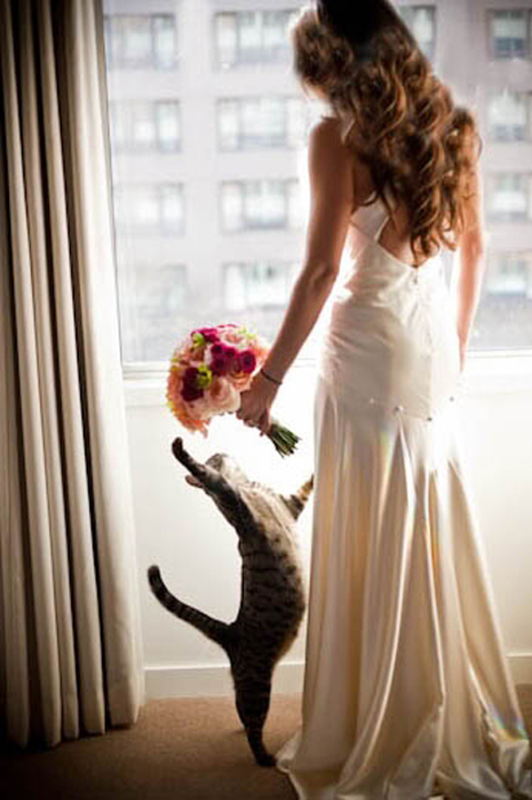  わんちゃんネコちゃんも大切な家族だから♡ペットと一緒に結婚式を！　で紹介している画像