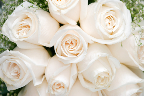  ブライダルネイルに「花言葉」を添えて特別な花嫁に♡白ネイルに合うお花6選♡　で紹介している画像